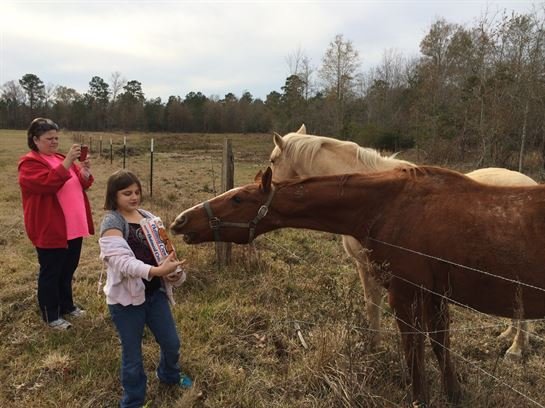 Olivia Anna Truncale - Photo 45