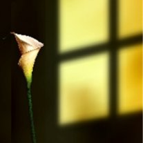 Marie "Irene" Breaux Spencer - Photo 3