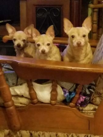 Tina Sue Faul - Photo 20