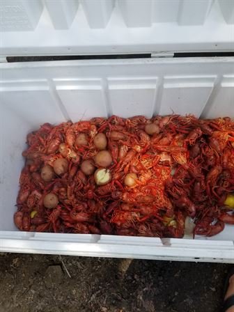 Tina Sue Faul - Photo 23