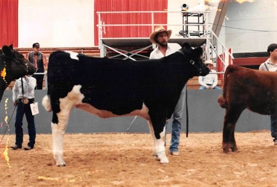 Stan Armstrong - Photo 46