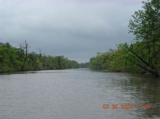 Stan Armstrong - Photo 82