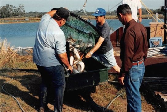 Zerl Wayne Bielecki - Photo 11