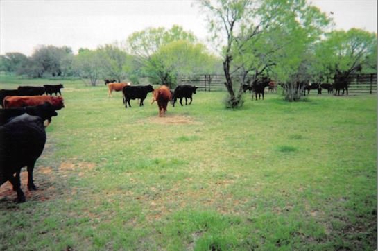 Zerl Wayne Bielecki - Photo 29