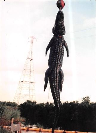 Zerl Wayne Bielecki - Photo 51