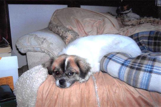 William Ruvian Cady - Photo 8