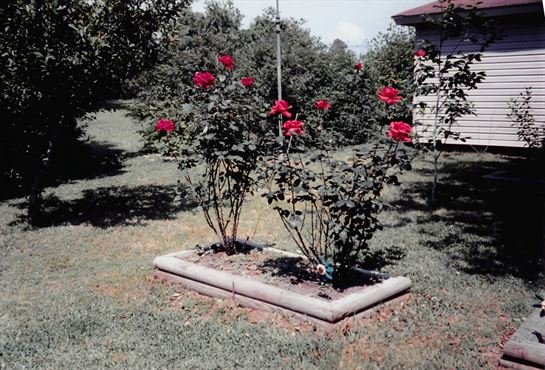 William Ruvian Cady - Photo 11