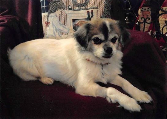 William Ruvian Cady - Photo 13