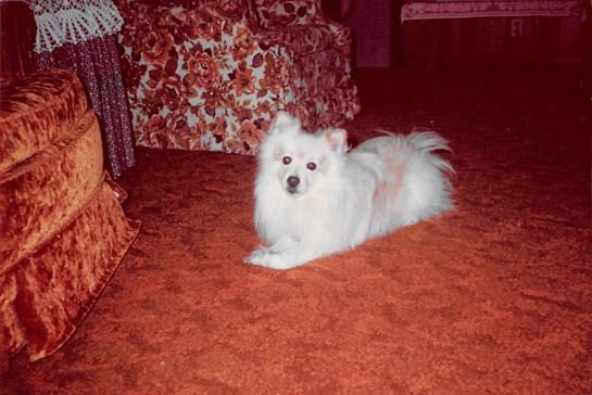 William Ruvian Cady - Photo 14