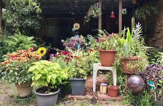 Myra Jane Taylor Hutto - Photo 21