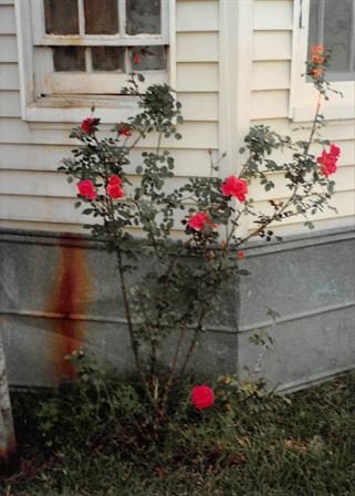 Jo Ann "Jodie" Christian-Davis - Photo 14