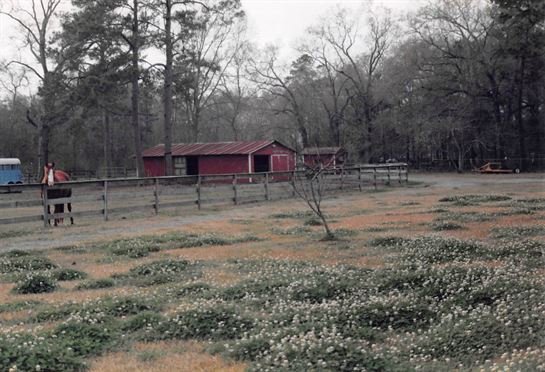 Betty June Chatagnier - Photo 51