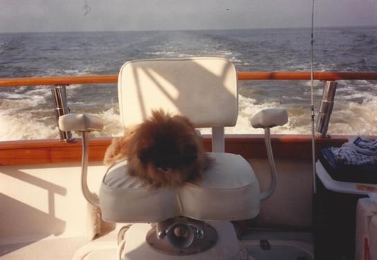 Clifford Dalton Murphy Sr. - Photo 14