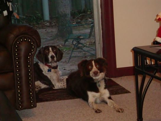 Donna Lynn Wilson - Photo 4