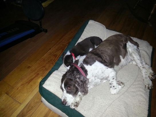 Donna Lynn Wilson - Photo 15