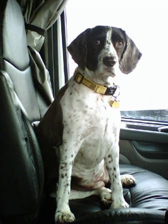 Donna Lynn Wilson - Photo 98