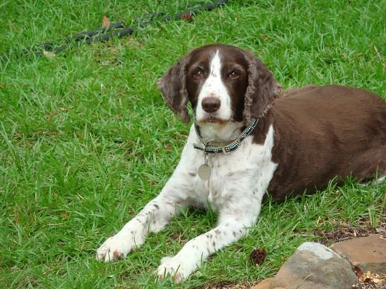 Donna Lynn Wilson - Photo 105