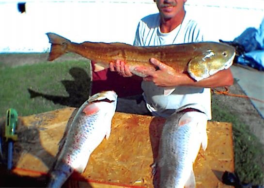 Alec Wayne Willett Sr. - Photo 52