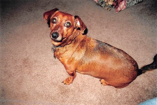 Elmer Lee Ernst, Sr. - Photo 7