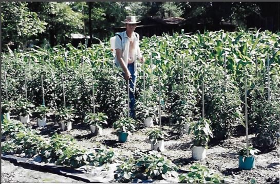 Howard Matthews - Photo 55