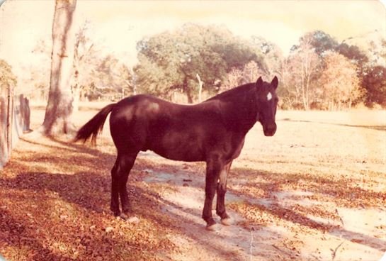 Debbie Bryant - Photo 12