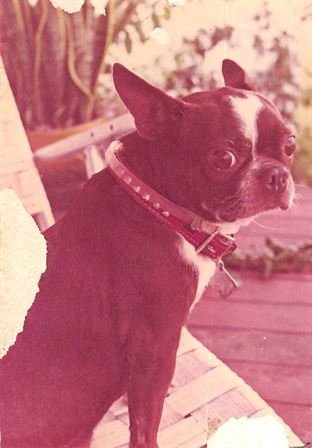 Jean Wayman - Photo 5