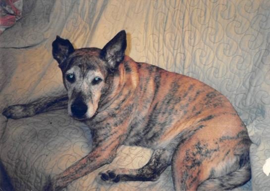 Jean Wayman - Photo 34