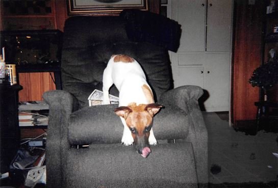 Jean Wayman - Photo 50