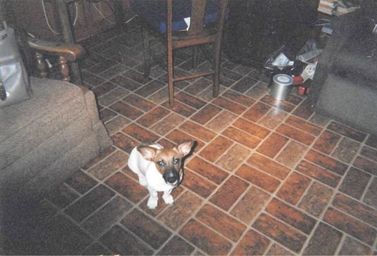 Jean Wayman - Photo 96