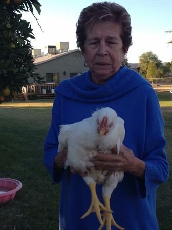 Charlotte Kohler Molley - Photo 54