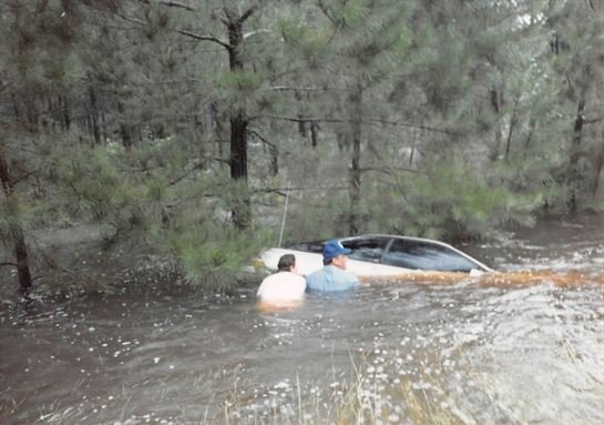 Gordy Fregia - Photo 12