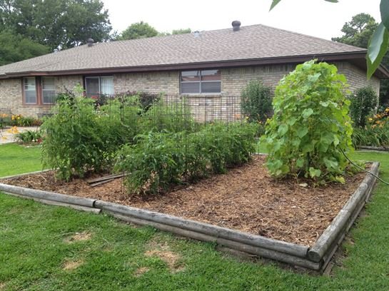 Lou Ellen Pike Cude - Photo 10