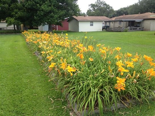 Lou Ellen Pike Cude - Photo 56