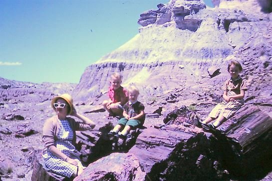 Marilyn Anne Powell - Photo 70