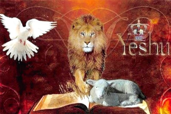 Brandon Lee Christopher - Photo 53