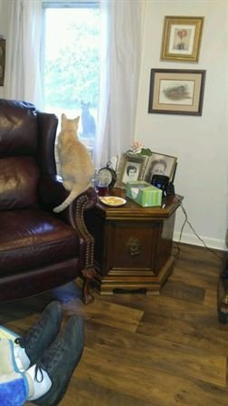 Willie Mae Hanks - Photo 82