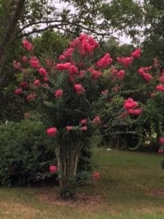 Marshall Wayne Dougharty Sr. - Photo 7