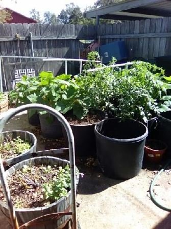 Marshall Wayne Dougharty Sr. - Photo 58