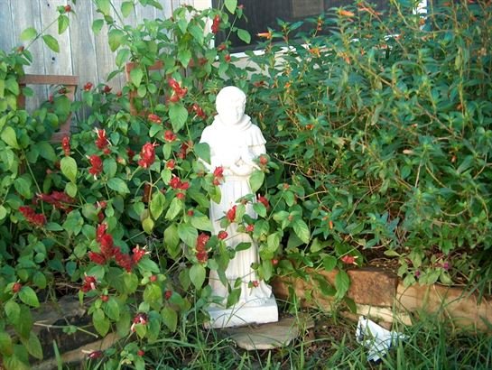 Bernard Joseph Giarratano - Photo 45