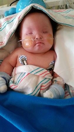 Captain Louis Gonzalez - Photo 8