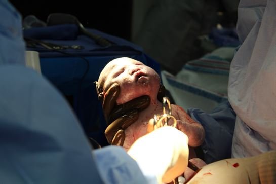 Captain Louis Gonzalez - Photo 10