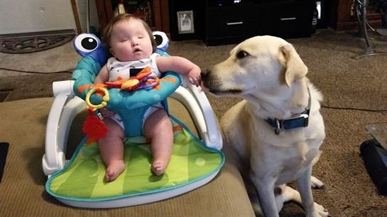 Captain Louis Gonzalez - Photo 27