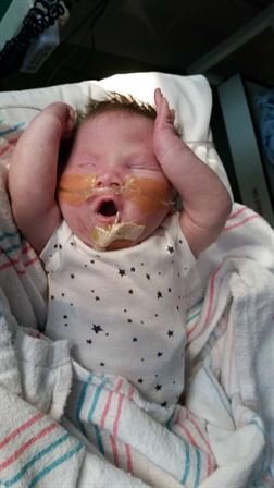 Captain Louis Gonzalez - Photo 43