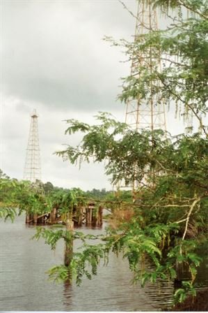 Mildred Louise Brent - Photo 40