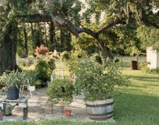 Mildred Louise Brent - Photo 74