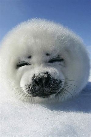 Debra Lynette Truncale - Photo 60