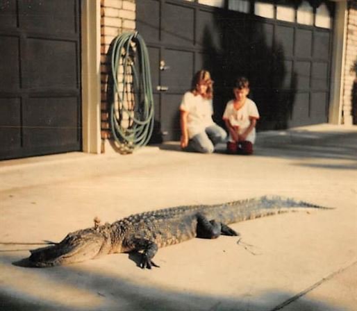 Debra Lynette Truncale - Photo 74