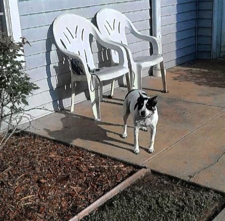 Francis "Bill" Dexter Bergeron Sr - Photo 12