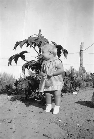 Mildred "Mickey" Evelyn Roth - Photo 38