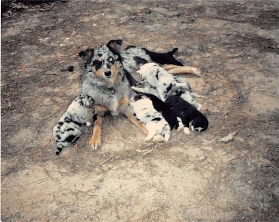 Helen Olene Porterfield - Photo 25